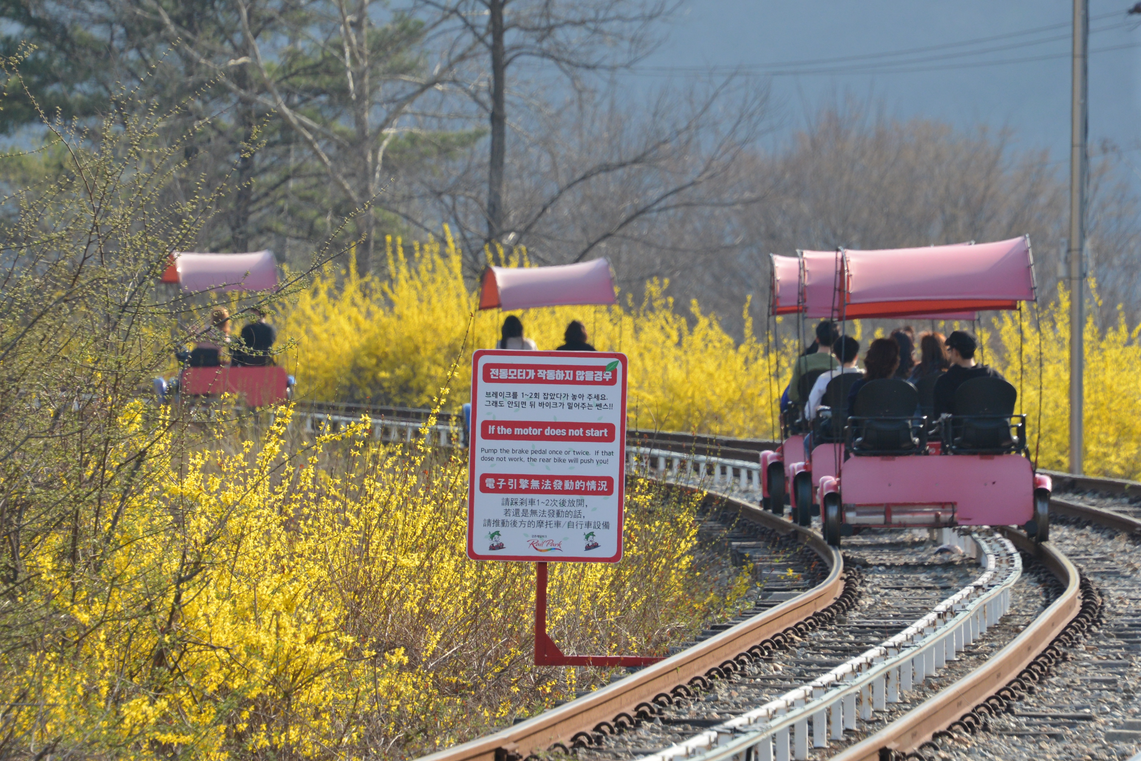 rail bike 7.jpg